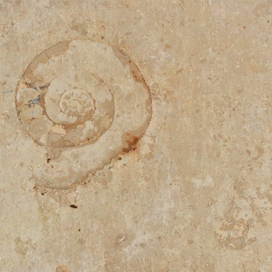 Caliza Jura Beige vista de cerca