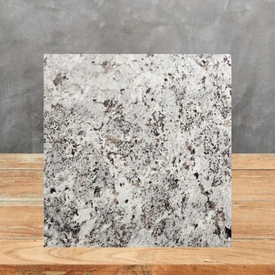 imagen de una muestra de Granito Alaska White y un fondo gris