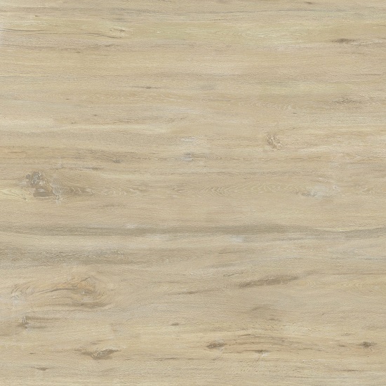 primer plano de Ascale Boreal Sand