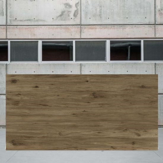 imagen de una Ascale Boreal Umber