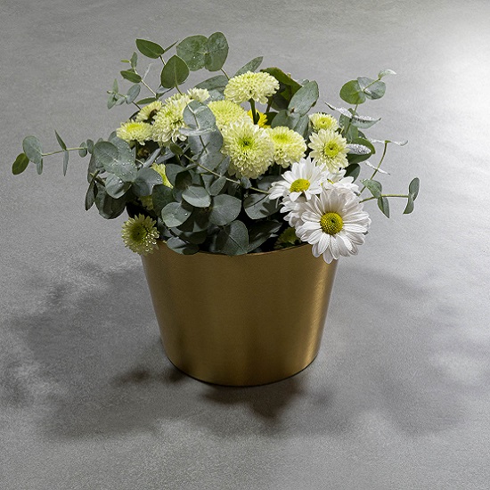 encimera Ascale Cosmopolita Gray